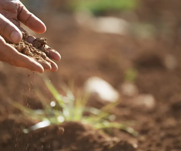 préparation d'un terrain