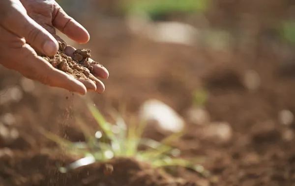 préparation d'un terrain