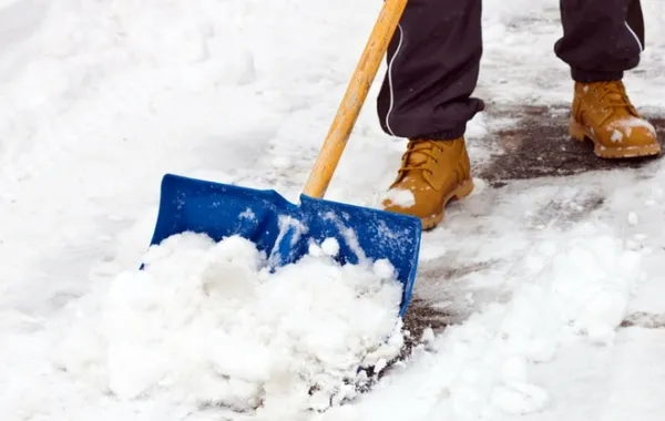 Sels déglaçants et gazon vert ne font pas bon ménage…